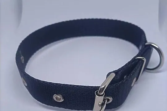 Obroża dla psa 25mm/70cm, Lubuskie, Gorzów Wielkopolski