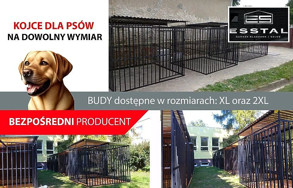 Kojec dla Psa 2x2 , Kojce | DOWOLNE WYMARY | DLA PSA | - ESSTAL, Podkarpackie, Jasło