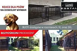 Kojec dla Psa 2x2 , Kojce | DOWOLNE WYMARY  | DLA PSA | - ESSTAL