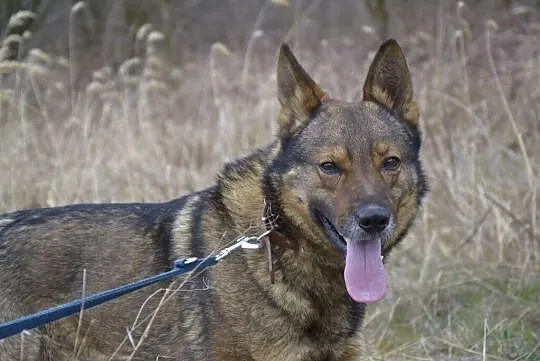 Aleks nie zaznał od człowieka ni krztyny dobroci__
