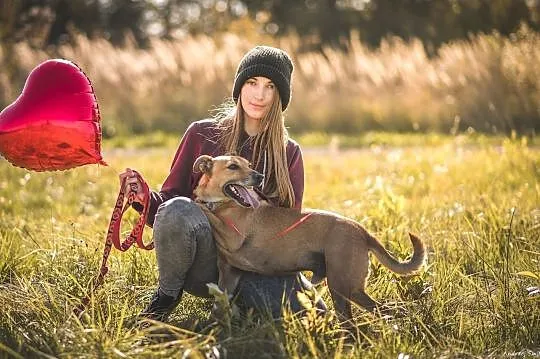 Bruno-mądry, 3-letni psiak szuka domu!