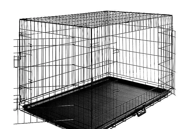 **Duza Metalowa Klatka Dla Psa Woliera 61x42x49**, Świętokrzyskie, Kielce