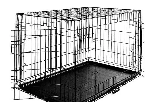 **Duza Metalowa Klatka Dla Psa Woliera 61x42x49**, Świętokrzyskie, Kielce