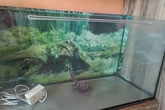 Akwarium 200L