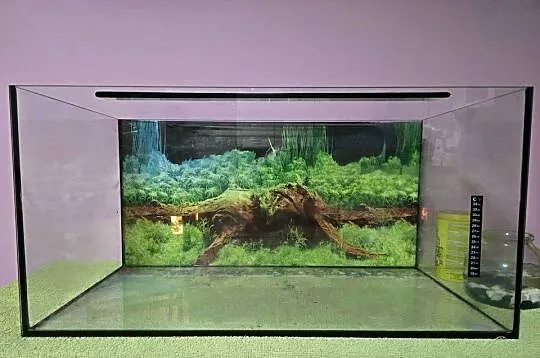 Akwarium + ozdoby