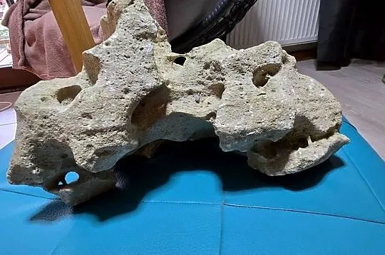 Akwarium + ozdoby, Śląskie, Ustroń