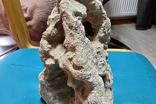 Akwarium + ozdoby, Śląskie, Ustroń