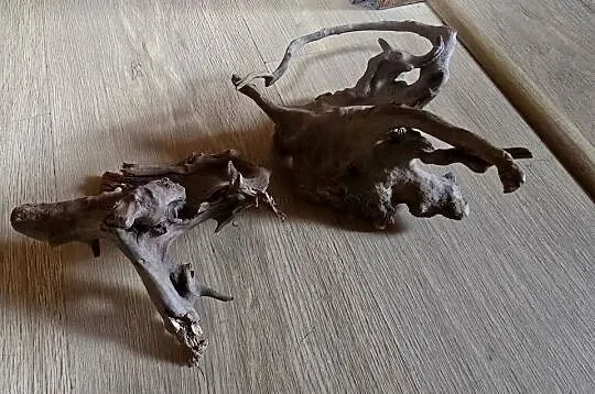 Akwarium + ozdoby, Śląskie, Ustroń