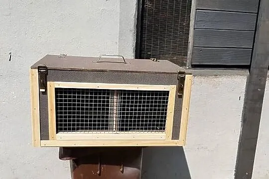 Transporter, Wielkopolskie, Czerniejewo