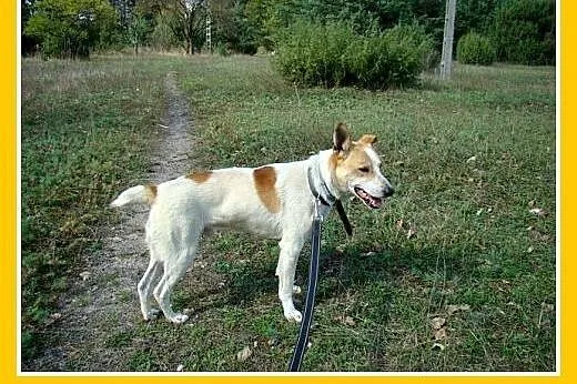 19 kg,do dzieci,rodzinny,uśmiechnięty 2 letni FLOR
