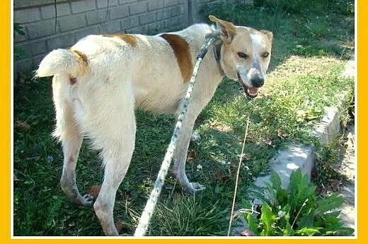 19 kg,do dzieci,rodzinny,uśmiechnięty 2 letni FLOR
