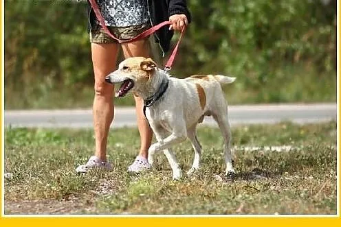 19 kg,do dzieci,rodzinny,uśmiechnięty 2 letni FLOR