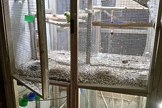 Woliera dla ptaków duża, Mazowieckie, Warszawa