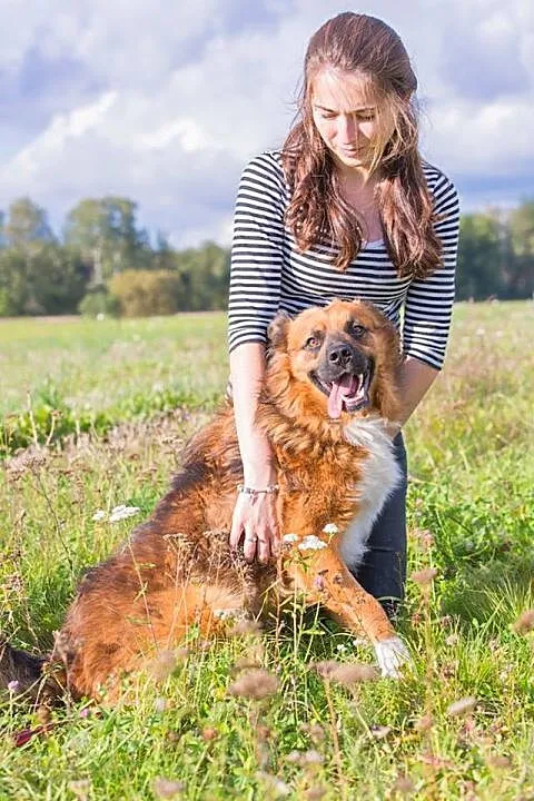 Młody kudłacz Rudy, przyjazny i grzeczny pies do a
