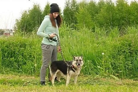 Piękna sunia szuka dobrego domu,  podlaskie Białys