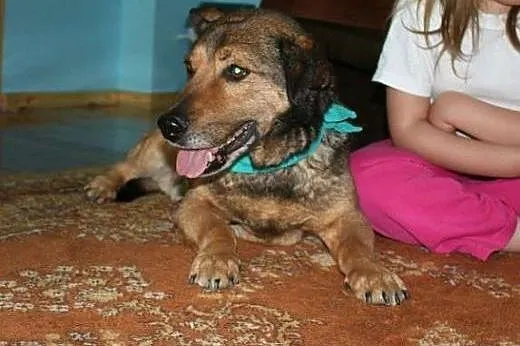 Lubi dzieci, lubi koty, lubi inne psy :),  małopol