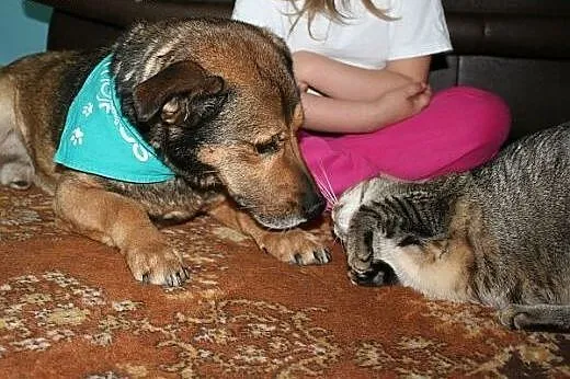 Lubi dzieci, lubi koty, lubi inne psy :),  małopol