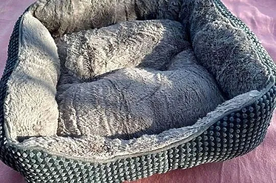JOEJOY Legowisko dla Średnich Psów rozmiar S, Kujawsko-pomorskie, Osięciny