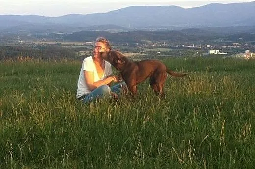 Nero-psiak pełen wigoru czeka na dom!,  dolnośląsk