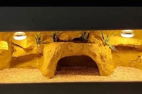 Terrarium specjalistyczne dla gekona lamparciego żółwia greckiego