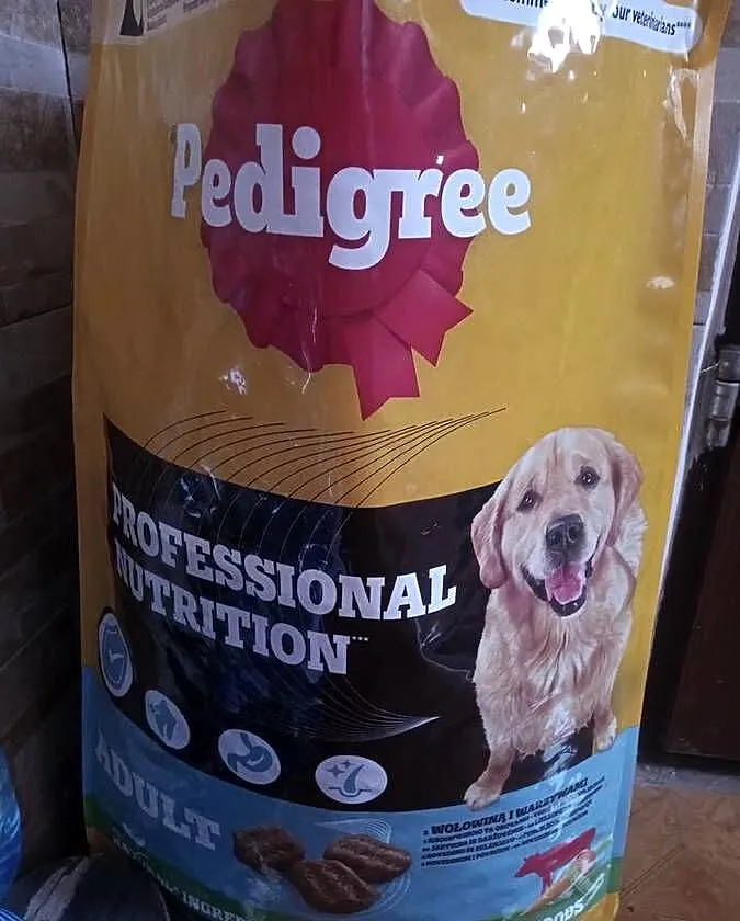 Duża karma dla psa Pedigree, Dolnośląskie, Kudowa-Zdrój