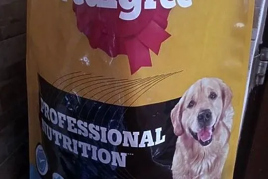 Duża karma dla psa Pedigree, Dolnośląskie, Kudowa-Zdrój