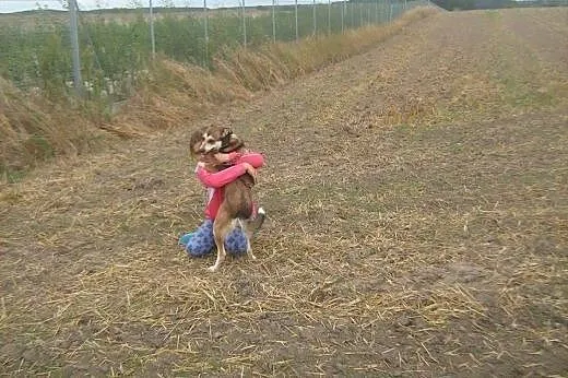 Nuka,radosna ok 1,5 roczna sunia szuka kochajacego