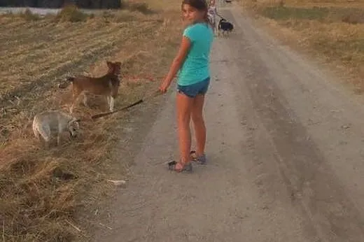 Nuka,radosna ok 1,5 roczna sunia szuka kochajacego