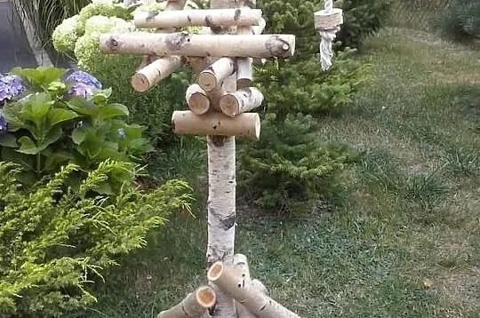 Duży brzozowy stojak dla papug, Śląskie, Ruda Śląska