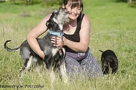 Tobi szuka domu,  małopolskie Miechów