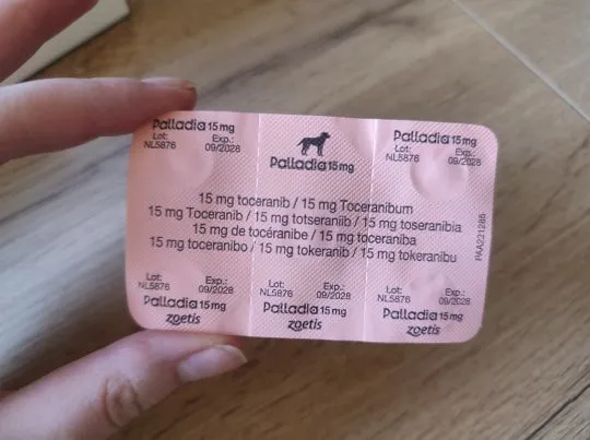Sprzedam palladie 15 mg 16 tabletek plus dodam osłonę za darmo