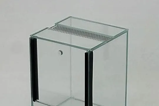 TRANSGLASS - TERRARIUM 15X15X20 - PRODUCENT