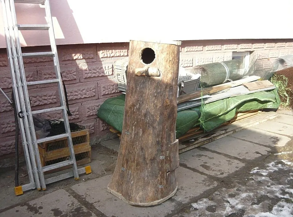 Budka lęgowa dla papug, , Pruchna