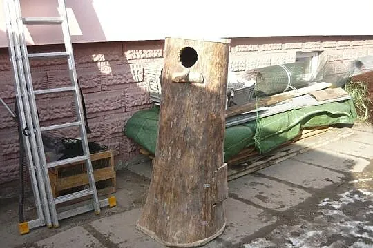 Budka lęgowa dla papug, , Pruchna