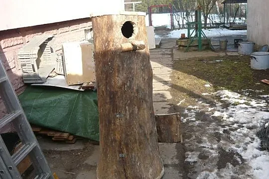 Budka lęgowa dla papug, , Pruchna