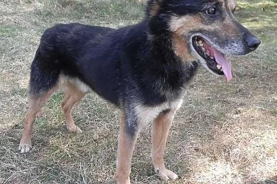 Kali