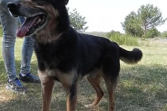 Kali