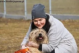 Jim - niewidomego psa do adopcji poleca Jowita Bud, Nowy Dwór Mazowiecki
