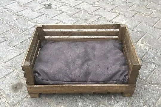 Drewniane legowisko dla psa/kota z poduszką – handmade – 50 × 34 × 21 cm, Wielkopolskie, Poznań