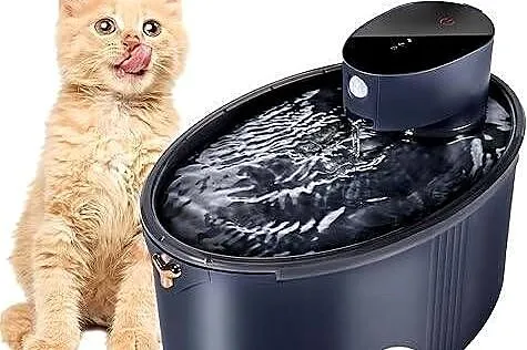 Dhohoo Fontanna dla kotów 2,5L, Świętokrzyskie, Kielce