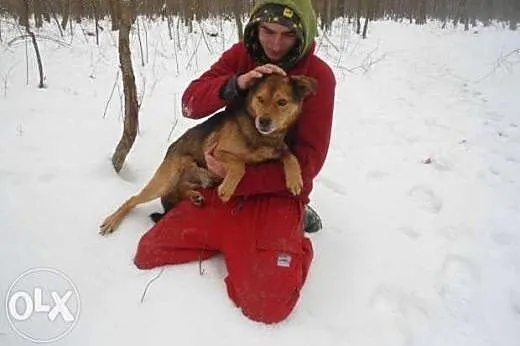 Maks błaga o dom !!!,  śląskie Dąbrowa Górnicza