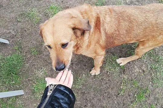 LEJLA - sunia kochana czeka na miłego pana :-), , Wrocław