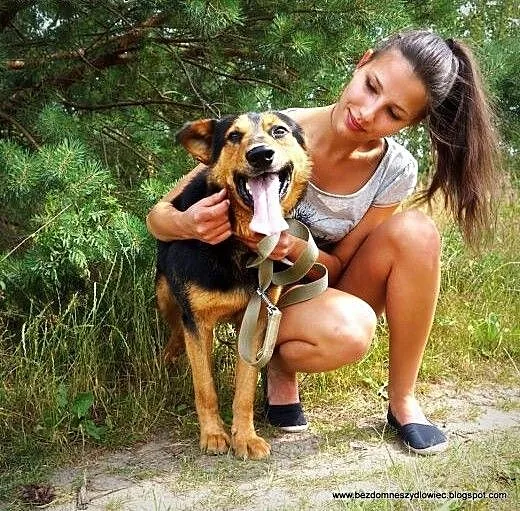 Moris- pies o wielkiej woli życia- DAJ MU DOM, śl