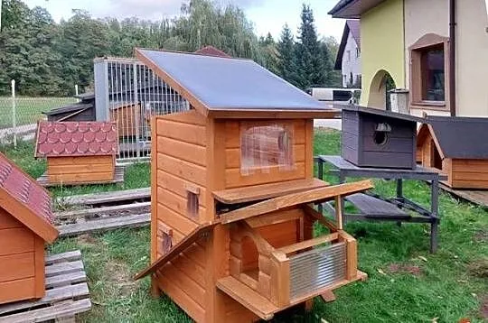 DOMEK dla  kota  kotów wolnożyjących ANDRZEJÓW, Łódzkie, Skierniewice