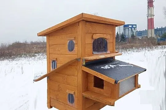 DOMEK dla  kota  kotów wolnożyjących ANDRZEJÓW, Łódzkie, Skierniewice