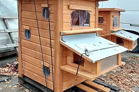 DOMEK dla  kota  kotów wolnożyjących ANDRZEJÓW, Łódzkie, Skierniewice
