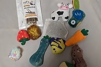 Zabawki dla kotów Poduszka z kocimiętka 10 Catnip Stick