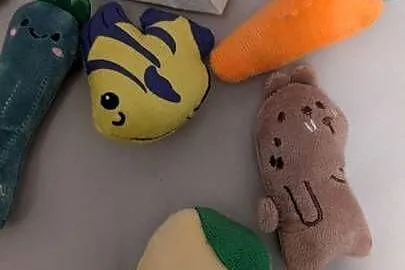 Zabawki dla kotów Poduszka z kocimiętka 10 Catnip Stick, Śląskie, Gliwice