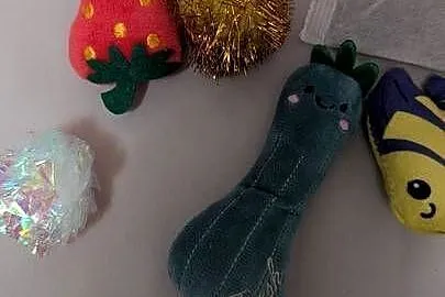 Zabawki dla kotów Poduszka z kocimiętka 10 Catnip Stick, Śląskie, Gliwice