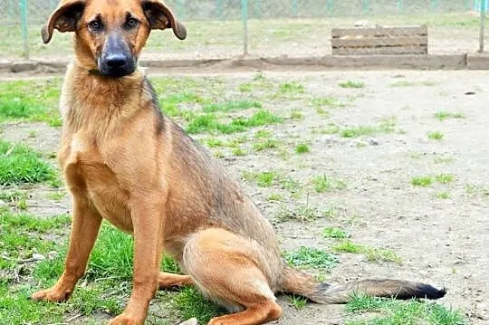 Cudny, grzeczny Tolik :)